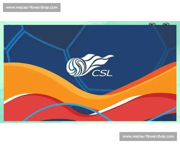 全国篮球比赛直播频道汇总观看指南精彩赛事一站式全方位直播平台推荐