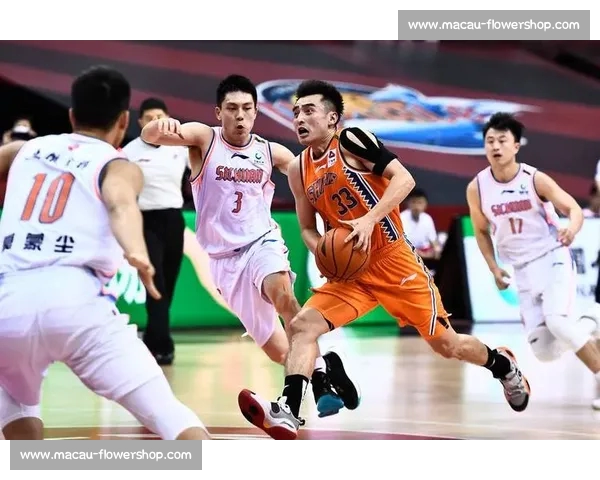 体育频道纵览全赛事热点人物战术解析与体育风云深度观察专题报道