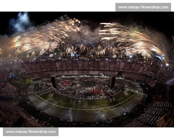 全球体育盛事回顾与展望 聚焦各大赛事及未来发展趋势